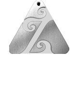 Atom Zakti
